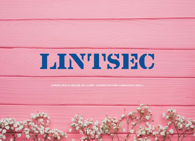 Lintsec example