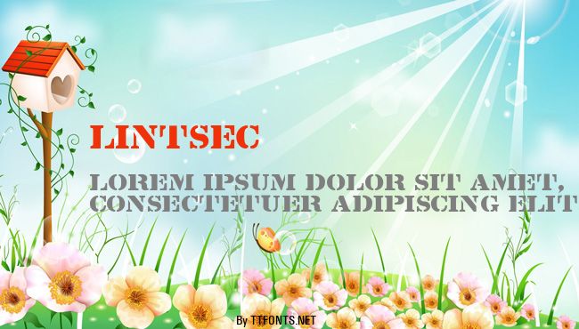 Lintsec example