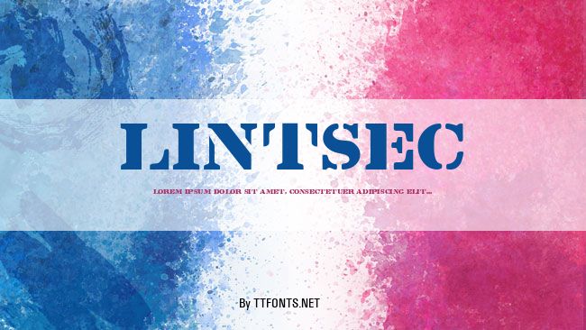 Lintsec example