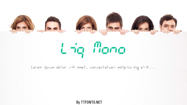 Liq Mono example