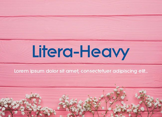 Litera-Heavy example