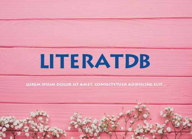 LiteratDB example