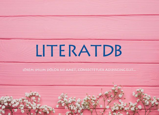 LiteratDB example