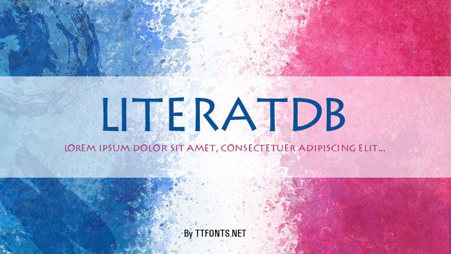 LiteratDB example