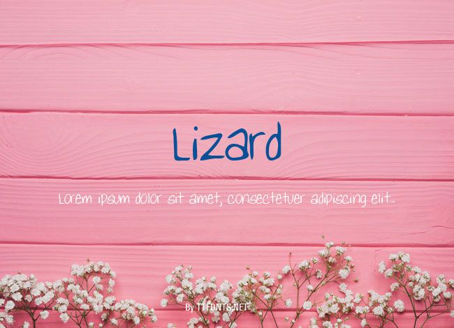 Lizard example