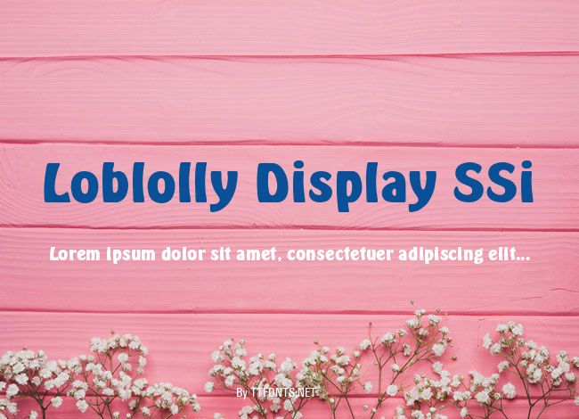 Loblolly Display SSi example