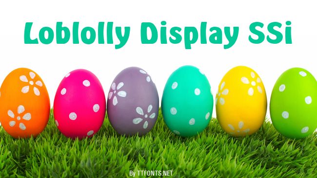 Loblolly Display SSi example