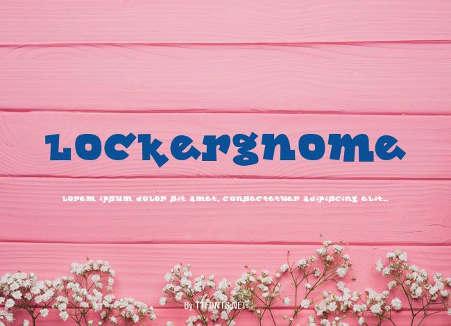 Lockergnome example