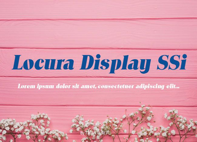 Locura Display SSi example