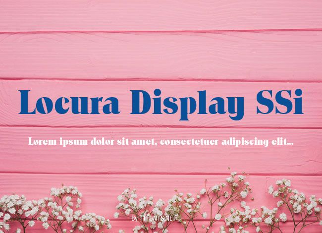 Locura Display SSi example