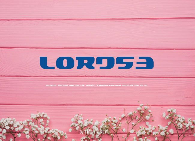 LORDS3 example