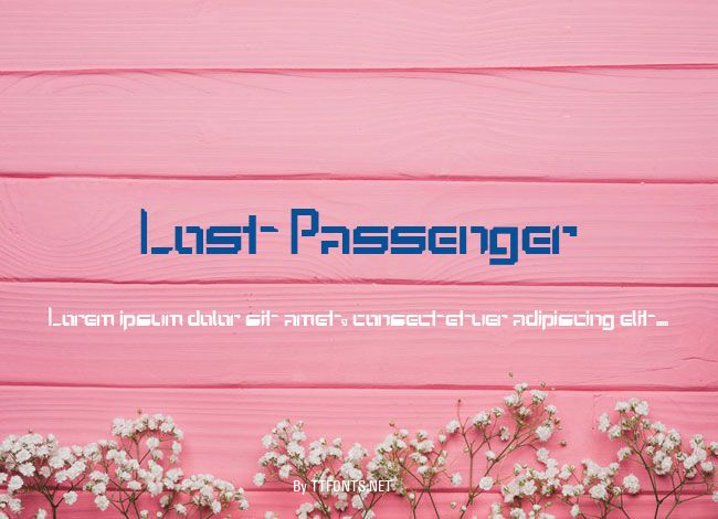 Lost Passenger example