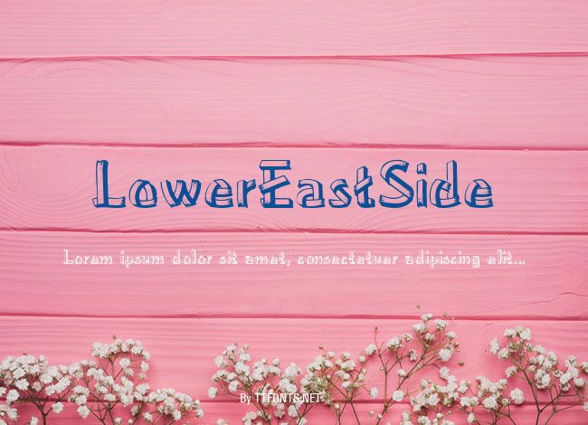 LowerEastSide example