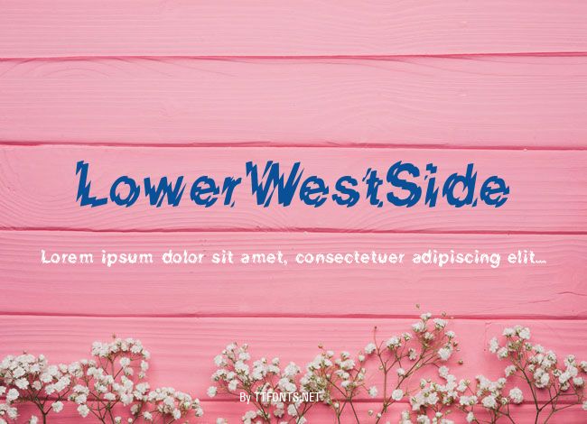 LowerWestSide example