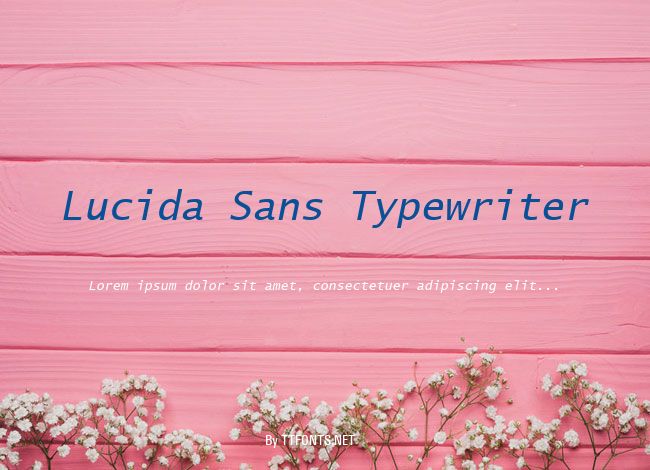 Lucida Sans Typewriter example