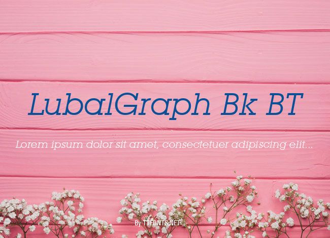 LubalGraph Bk BT example