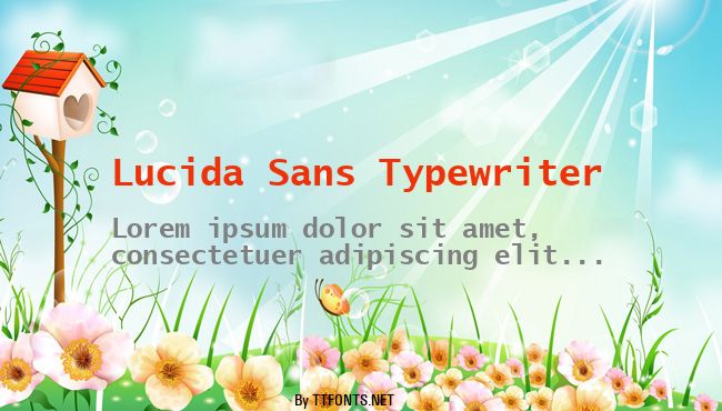 Lucida Sans Typewriter example