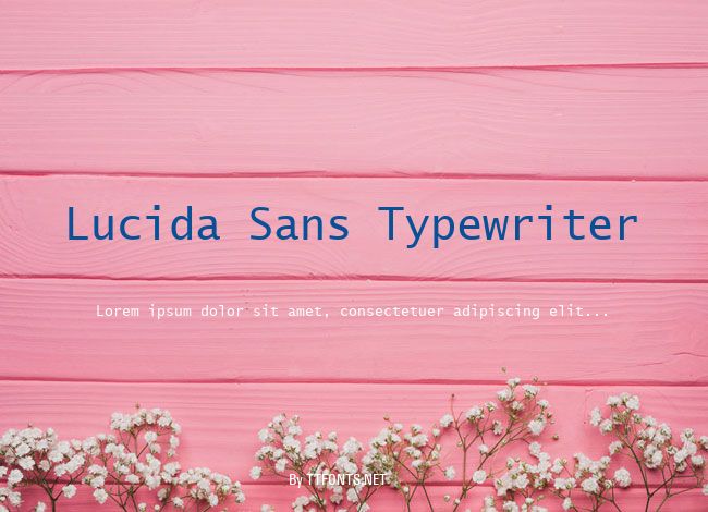 Lucida Sans Typewriter example