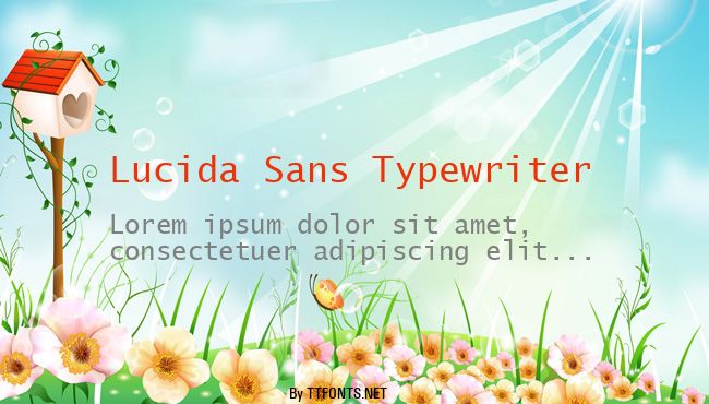 Lucida Sans Typewriter example