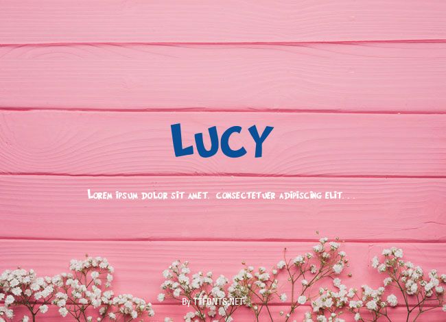 lucy example