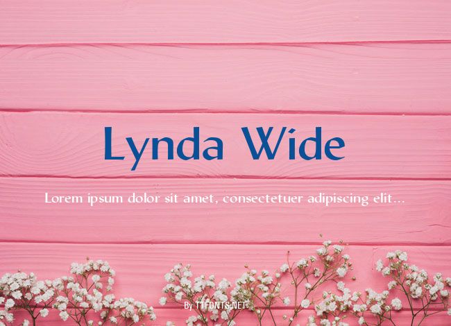 Lynda Wide example