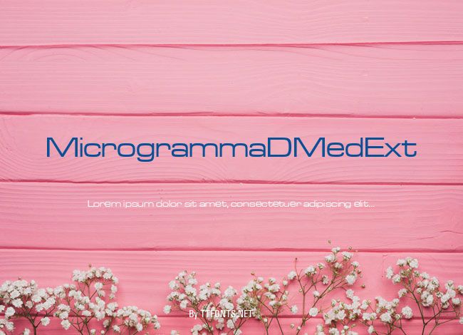 MicrogrammaDMedExt example