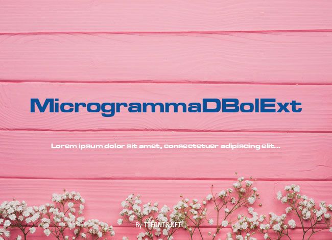 MicrogrammaDBolExt example