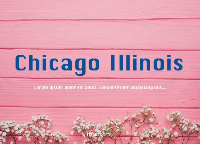Chicago Illinois example