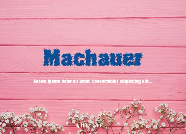 Machauer example