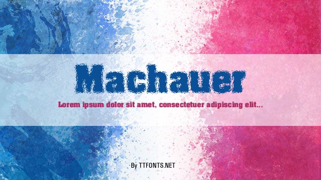 Machauer example