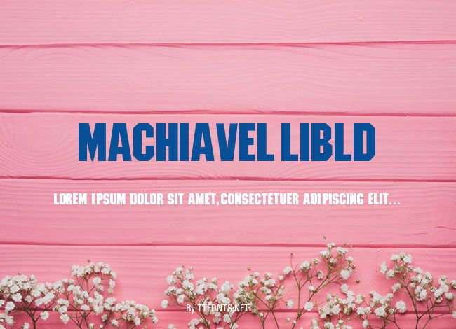 MachiavelliBld example