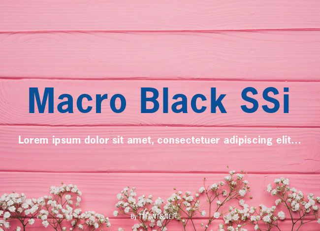 Macro Black SSi example