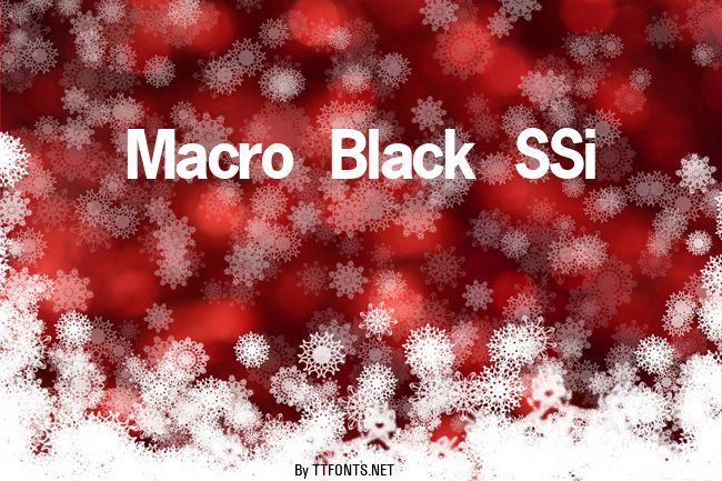 Macro Black SSi example