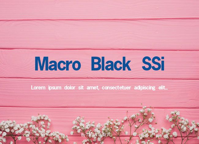 Macro Black SSi example