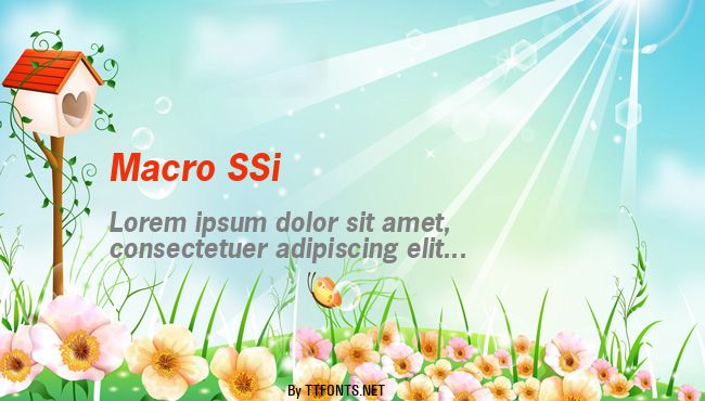 Macro SSi example