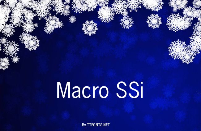 Macro SSi example