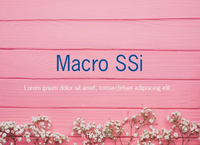 Macro SSi example