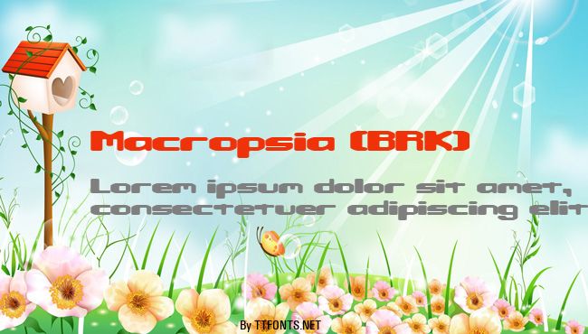 Macropsia (BRK) example