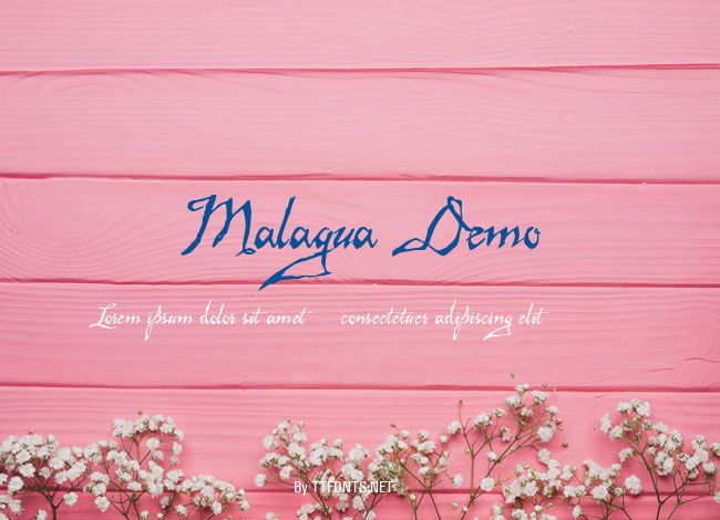 Malagua Demo example
