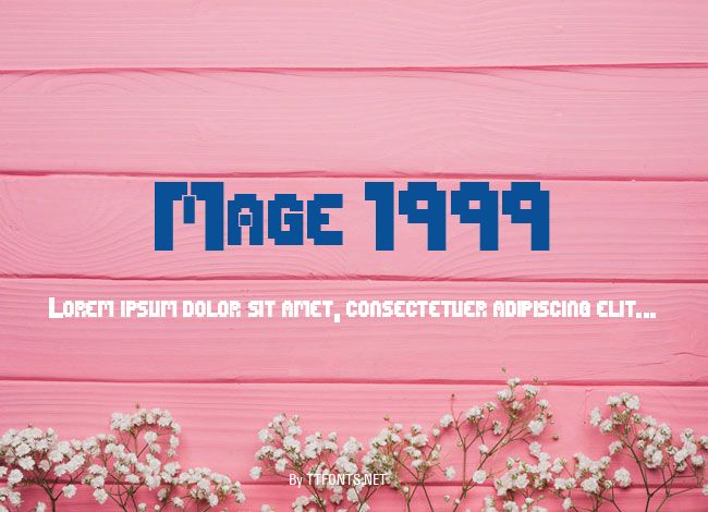 Mage 1999 example