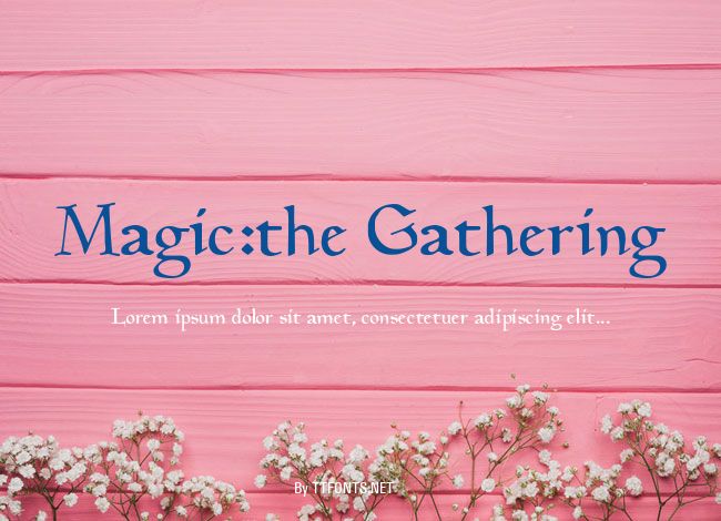 Magic:the Gathering example