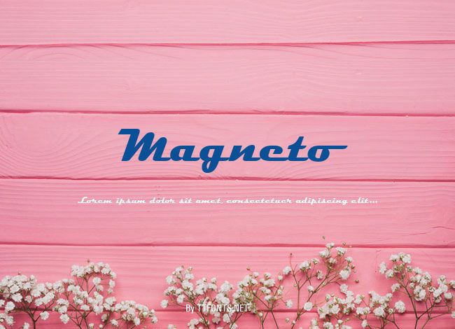Magneto example