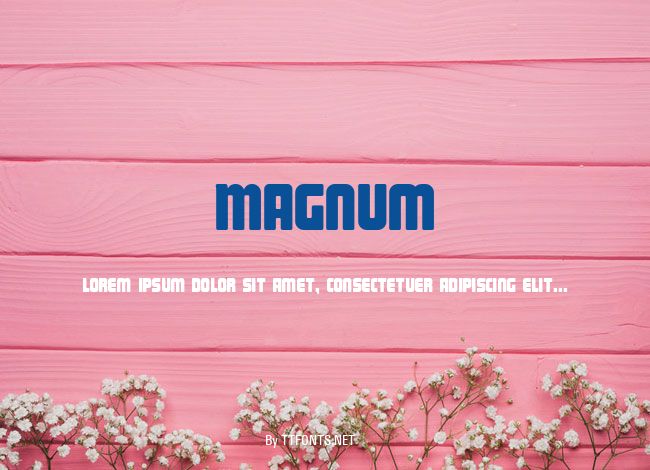 Magnum example