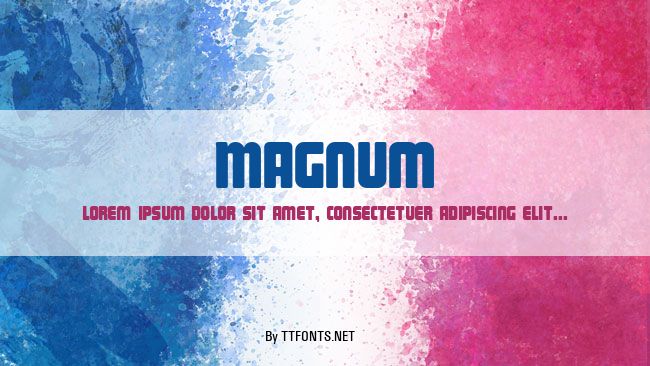 Magnum example