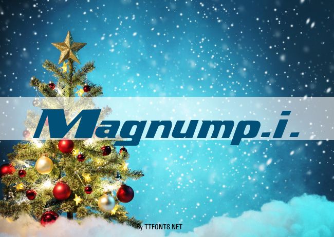 Magnump.i. example