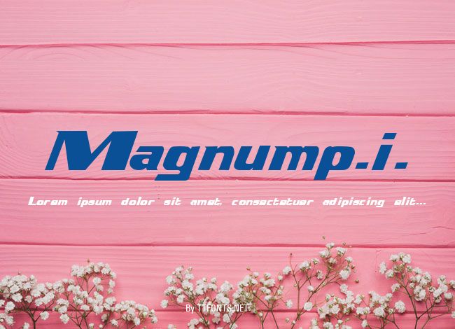 Magnump.i. example