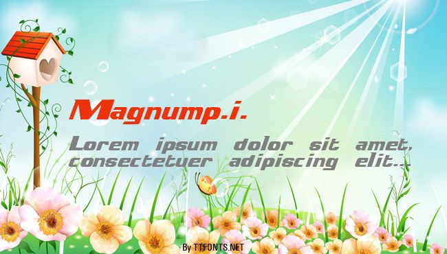 Magnump.i. example