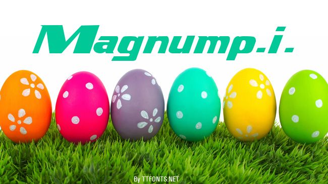 Magnump.i. example