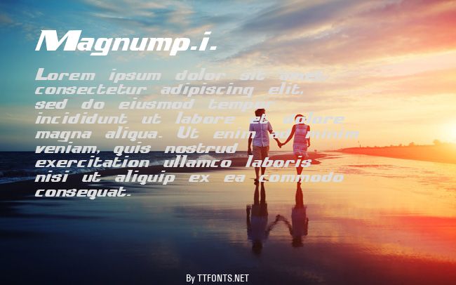 Magnump.i. example