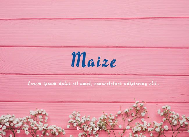 Maize example